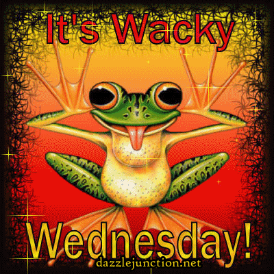 Wednesday Frog