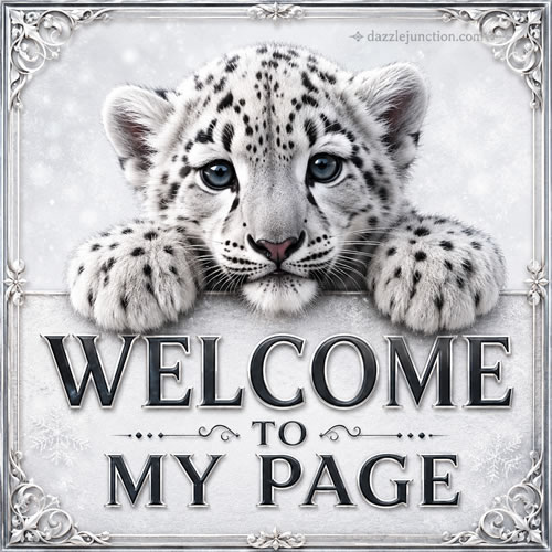 Snow Leopard Cub