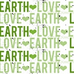 Environmental Picture