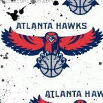 Atlanta Hawks