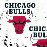 Chicago Bulls